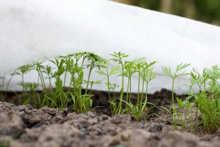 ��� ������ ������� ������ ������ ������� � ������ � 2026 ����