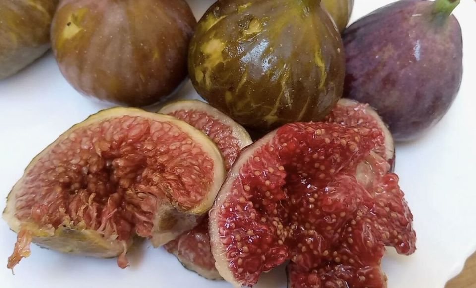 ��� ���������� �������� ������ � ������� ��� �����