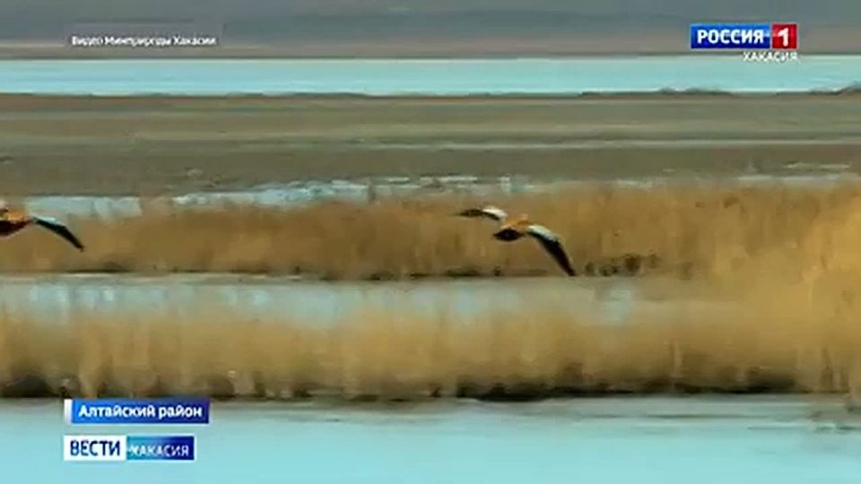 ����� �������� �����: ����� ��� � �������!