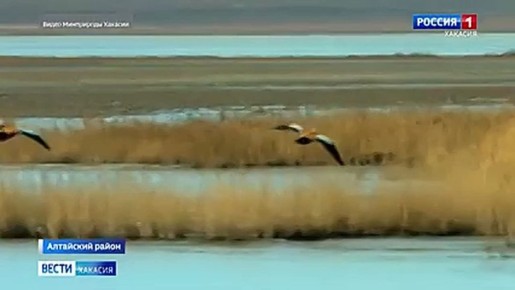 ����� �������� �����: ����� ��� � �������!