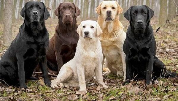 ��������� � �� ���� � �����: �����������, ���������� � ���������