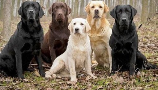 ��������� � �� ���� � �����: �����������, ���������� � ���������