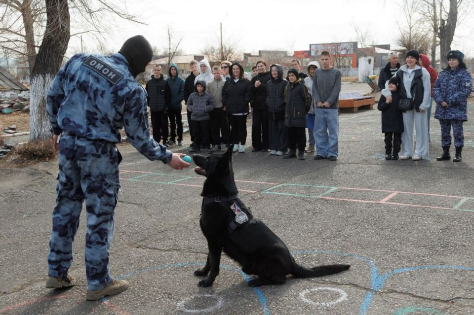 ������������ ��������� �������, ��� �������� ��������� ������