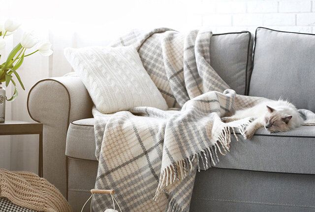 ��� ������� ��������� ���� ��� ������ ����