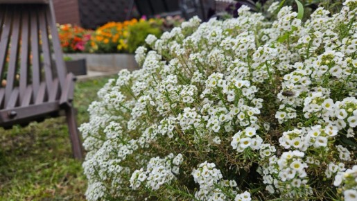 ������ �� �������: ��� ������ ������ � ���� ������� ������� � ����������� �����������