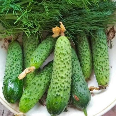 ������ ��������� ��������: ��������� ����� ��� ������� ������ � ��������� �����