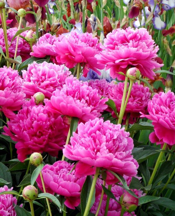 ��� ��������� ��������� �� ������� ������: ������ � ������������