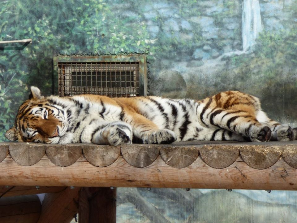 � �������� ��� �� ������� ��������