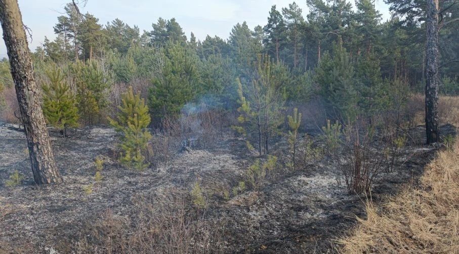 ������ � ���� ���� ������ ����� ������� � ������������ ����������