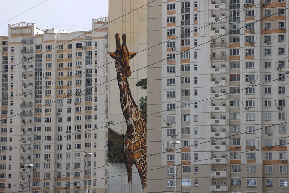 ������ ������ �����������: ��� ������������ ������� ����� ���, ��� ��� �����