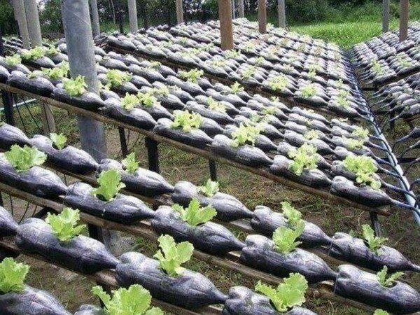 ��������� �������: ��� ���������� ������� ����������� ������