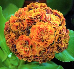 �������: ������������� ��������� ��� ������ ����