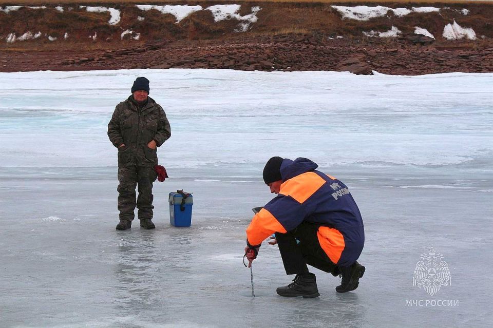 ˸� �� �������� ������� ���������� ������ ���������