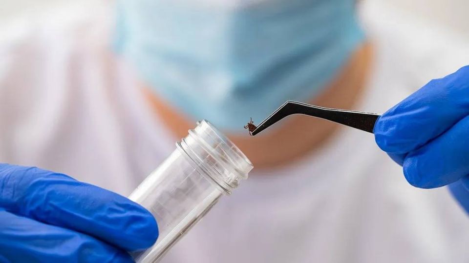 � ������� ��������� ������� �� ��������� ����������