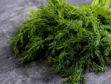 ������ ����� �� ����������� �������� � ������ �����: �������� �������� � �������