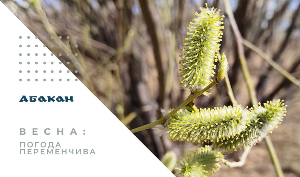 �� ���������� ������� 6 ������ 2026 ���� ������� ��������� ������� ����� �������� ��������, ������ 15-20 �/�