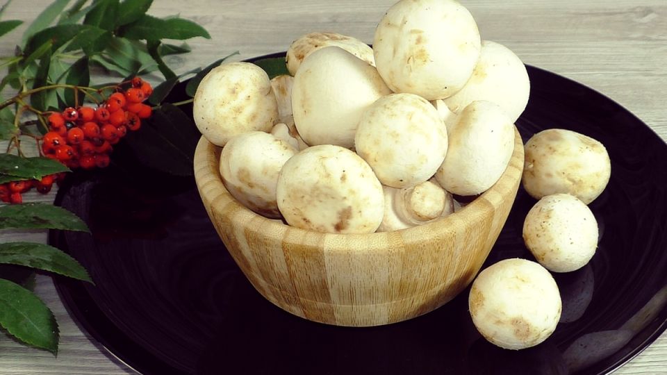 ���������� � ��������: ������ � ������ �� 20 �����