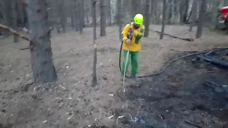 ���������� ������������: ����������� ��� ���� �� ������ ��-�� ��������� �������, ����� ������� �������������