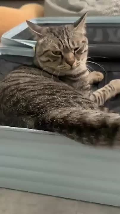 ������ ����, �������!. �������� ����� ������� ������