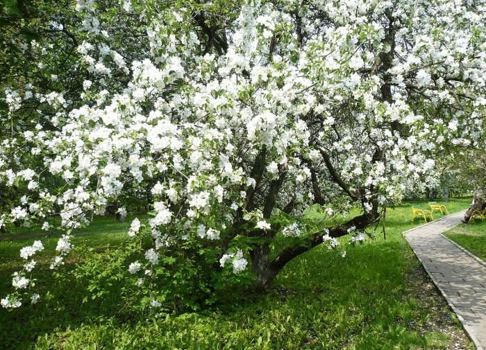 ��������� ������� ��������: ��� ��������� �������� � ������� ����