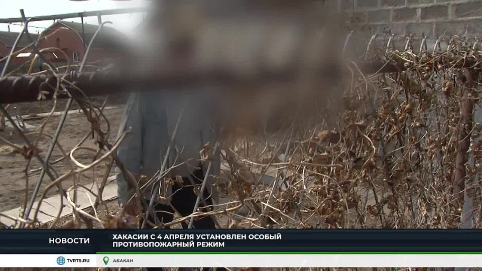 ������ ����� � �������: �������� ������ ������