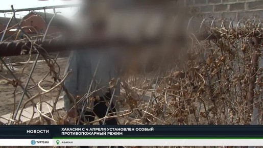 ������ ����� � �������: �������� ������ ������