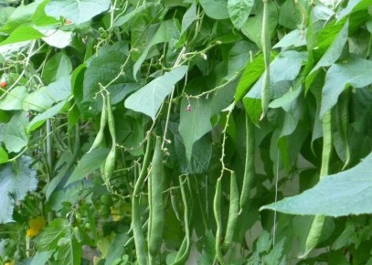 �������� ������: ������� ��������� ����� � �������� ������