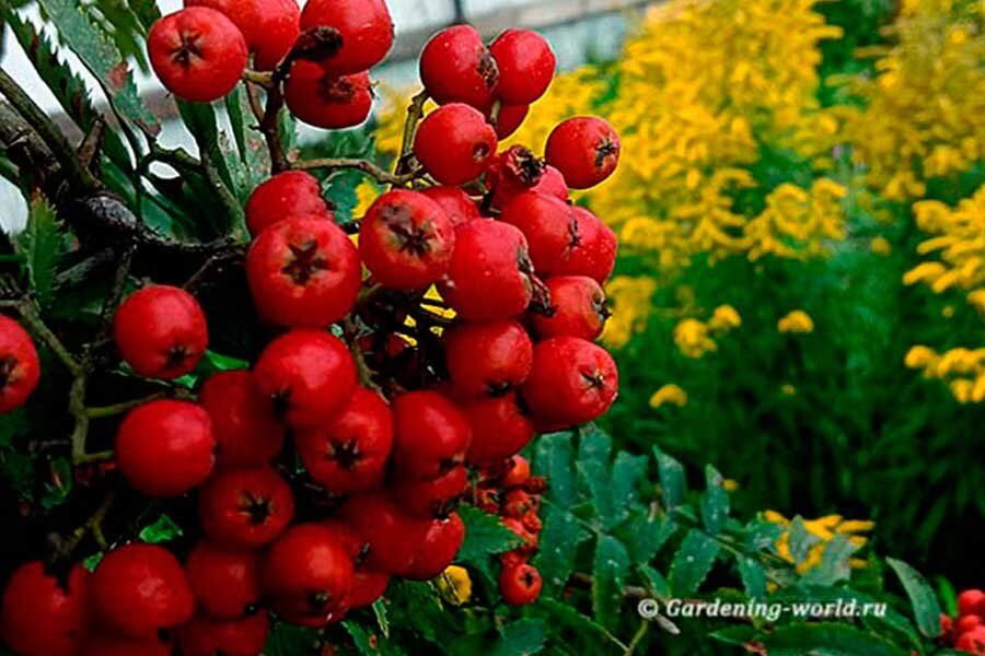 �������� � ����: �������� ������ ��� ��������� ������