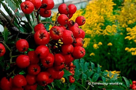 �������� � ����: �������� ������ ��� ��������� ������