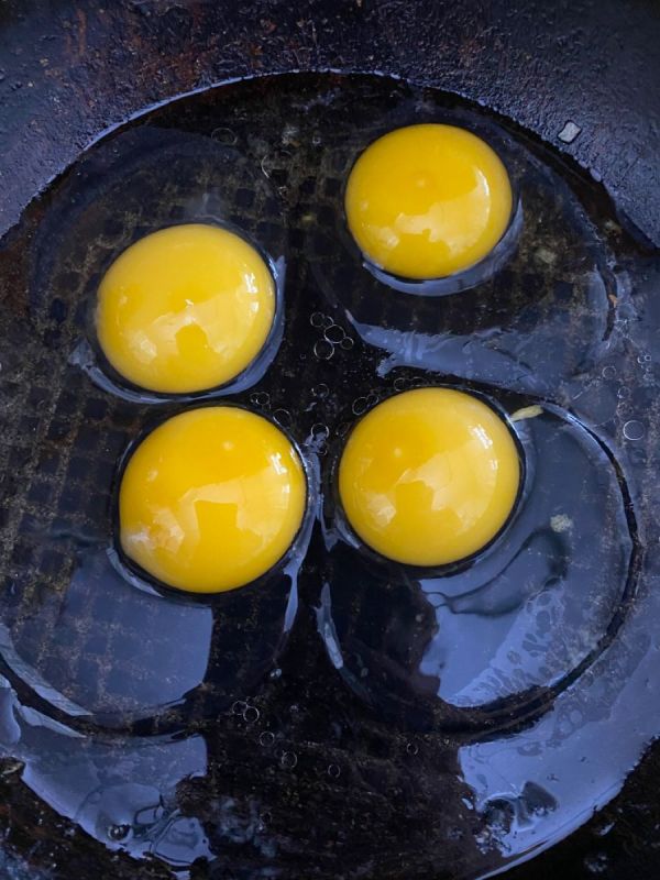 ����� ����: ������������ ���������� ���� � ������ � ������