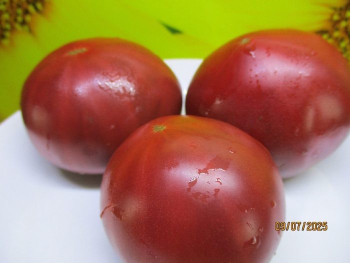 Томат муаровый закат: сочный вкус и эффектный цвет для ваших грядок