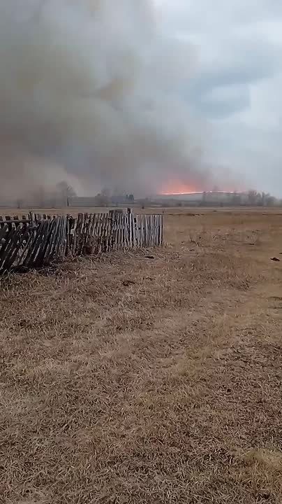 ������� ��� ����� ������ � ���� ���������� �� �������������, �����, ������������� �� 15 ���������� �� ������, �������� �������