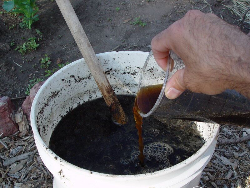 ��� ������� ����� ��������� ����������� �������, ������ � �������