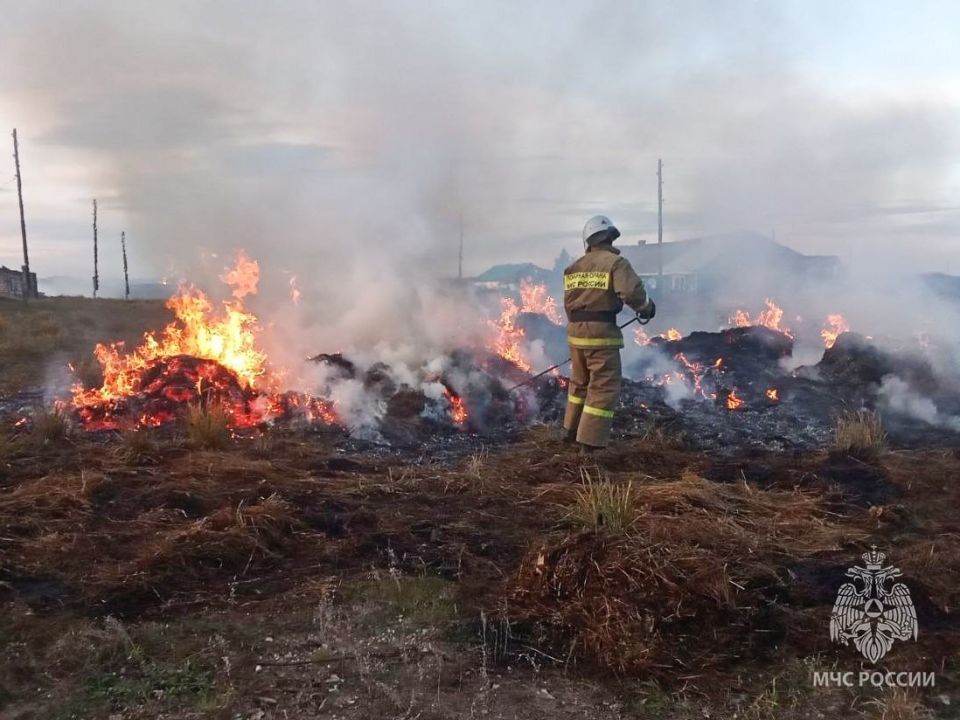 ����, �������� � 15-������������ ����� ����: ������ ������� � ������� �� �����