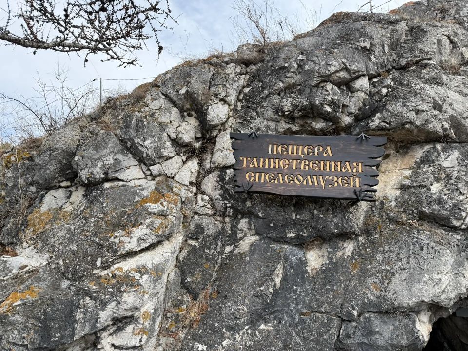 � ����������� ������ ������� ����� ���������� "������������"