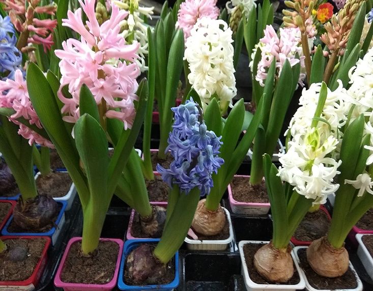 ��� ������������� ������ ����� ������� ������� � �������� �����