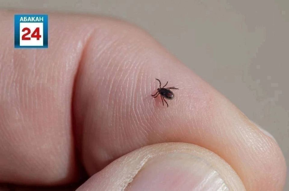 30 ������� ���������� �� ������ ������ � ������ ������ � �������