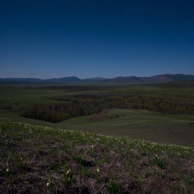 ������ ������� �� ������� ��������