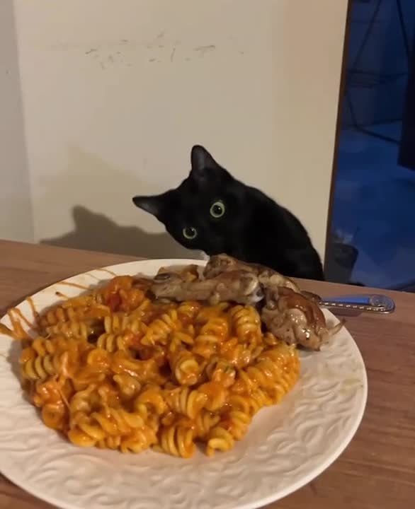 ������ ����, �������!