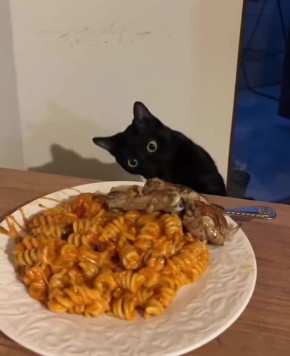 Доброе утро, Хакасия!