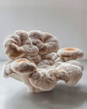 ������-�����: ���-��������� ��� ���������, ����������� ������ ��������� �������