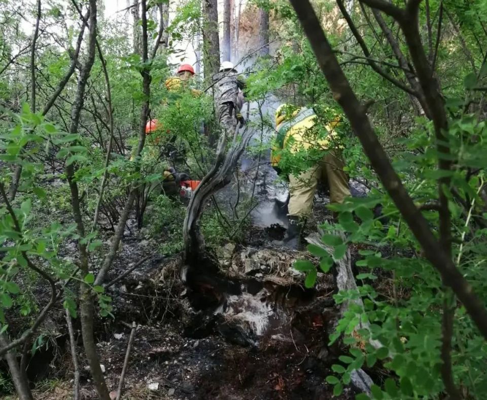 ������� ����������� � �������� ����������: ������� ��������� �� ����������� ������ � ������� ������ �����, ���� �������� ��������� �����