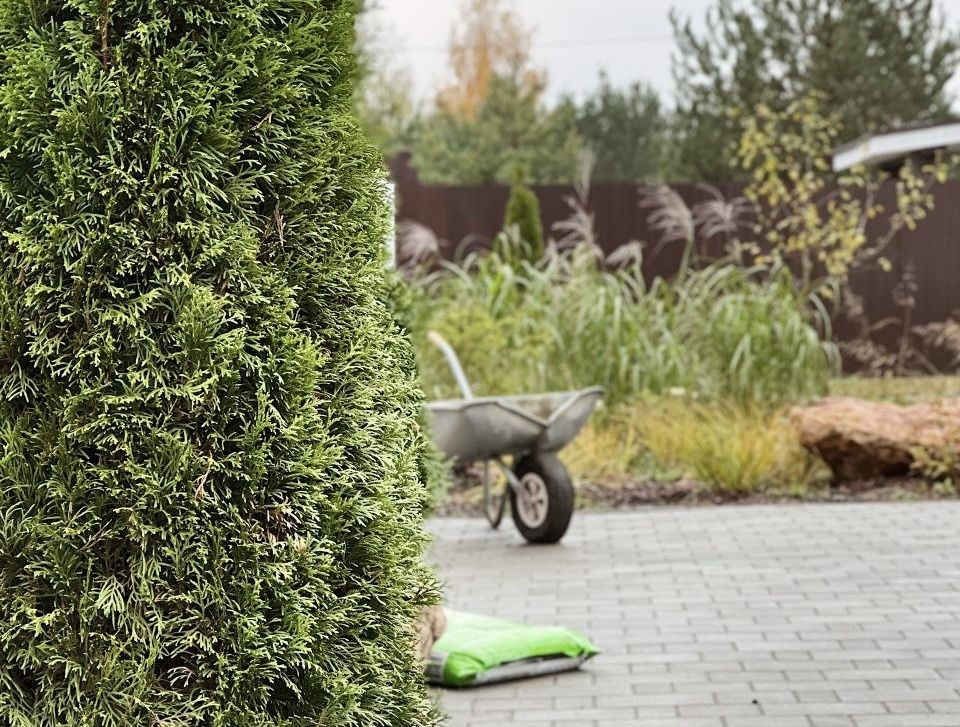 �������� ��� ����� �����: ���� � ���������� ��������� � ����� ���������