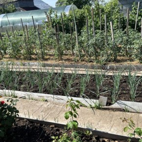 ��� ������������ ��������� ������ ��� ������ ������: ������� ������������ ����������