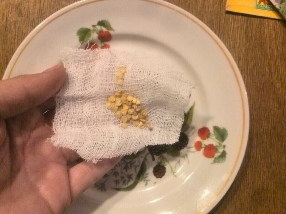 ��� ��������� ����� �������� �������� ������ ����� � �������