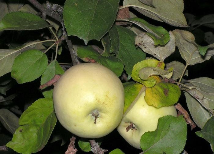 ��� ��������� ������������� ������� ������� � ���� ��� �������� �����