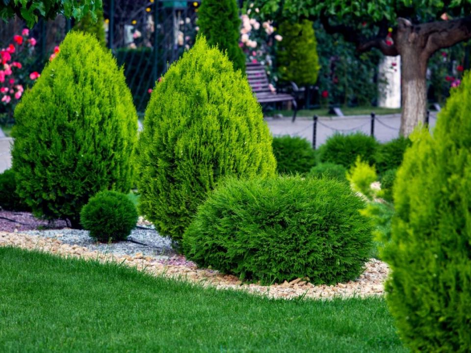 ������� ��������� ���� � �����������: ��� ������� ����