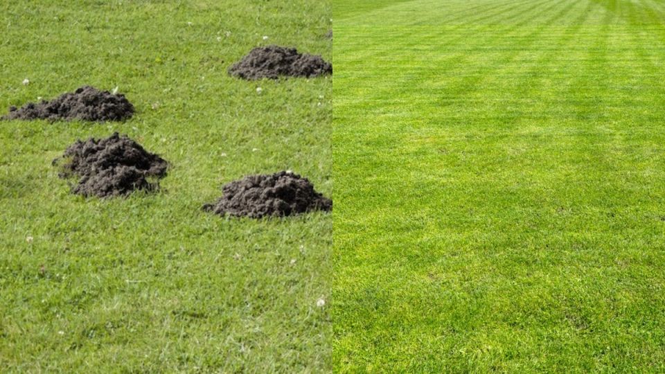 ����� �� ������: ����� ����������� ������� ������ � ���������� �������������