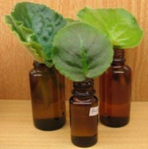 ��� ����� ���������� ������ �� �����: ��������� ���������� ��� ����