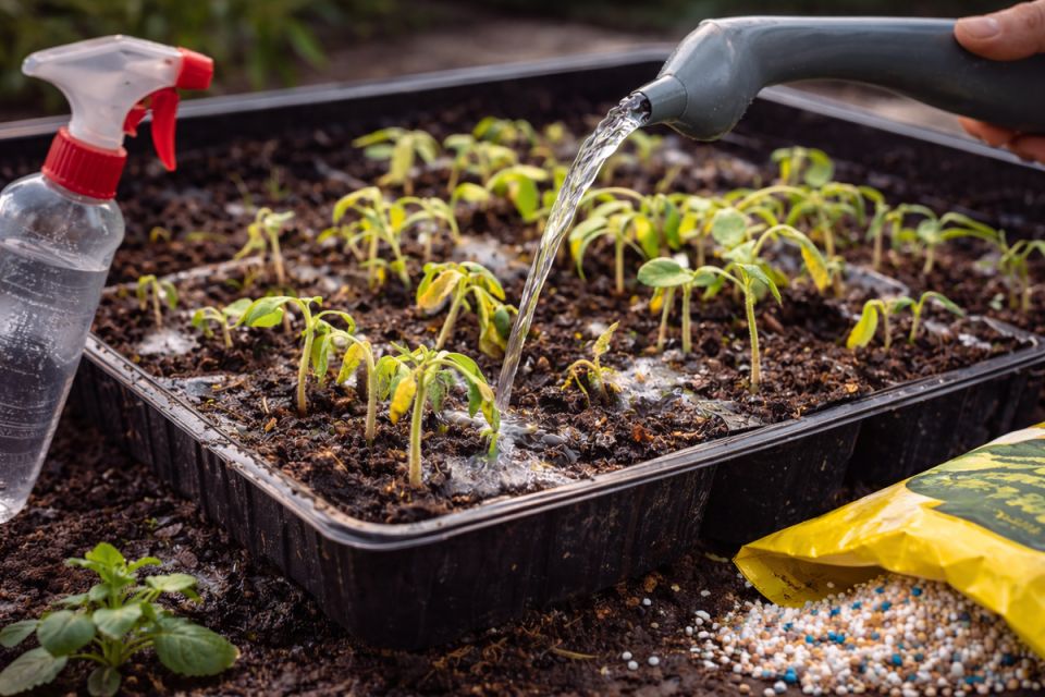 ��� ���������� ������� �������: ������� ����������� ����������